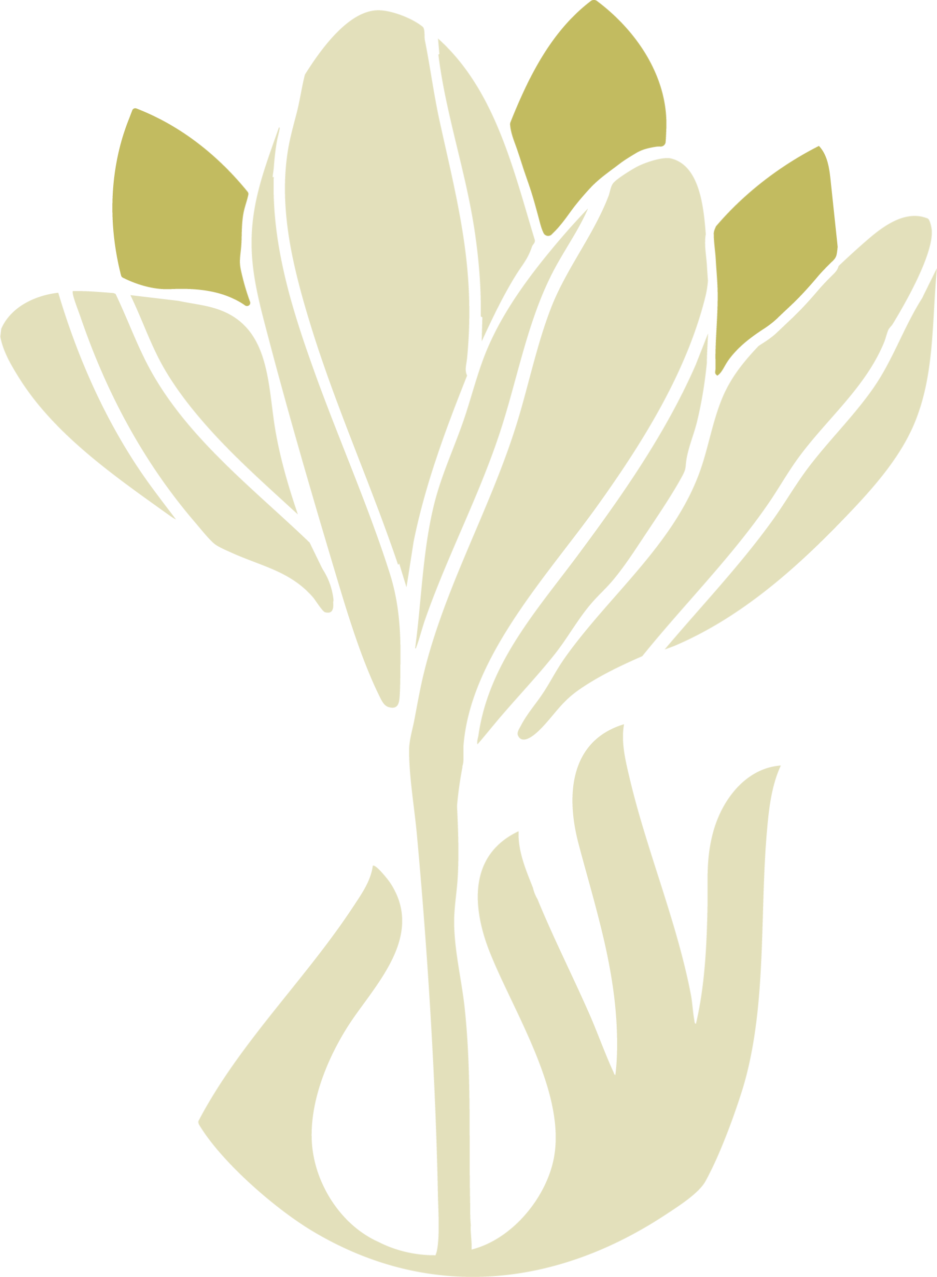 Jungle Temple | Manuel Antonio Yoga Studio, Breathwork, Sound Bath, Cacao Ceremony